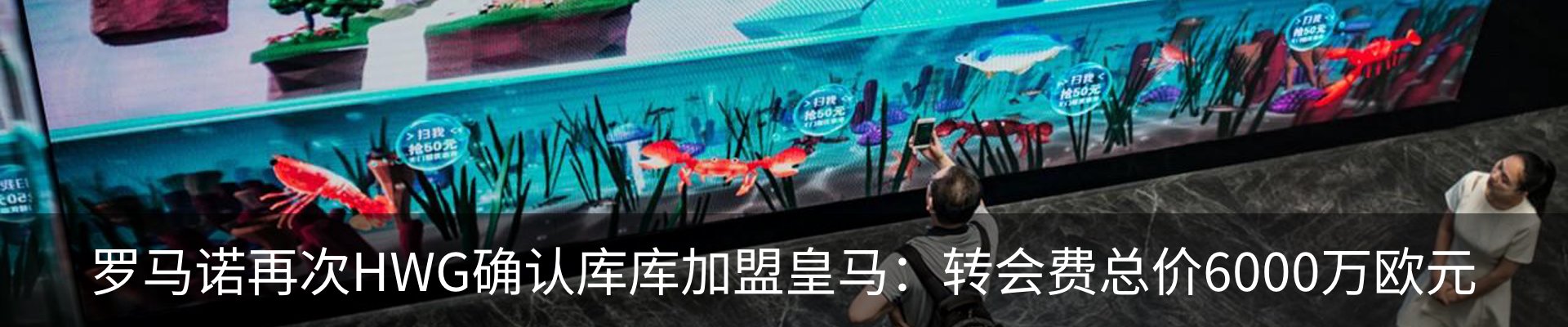 新闻动态